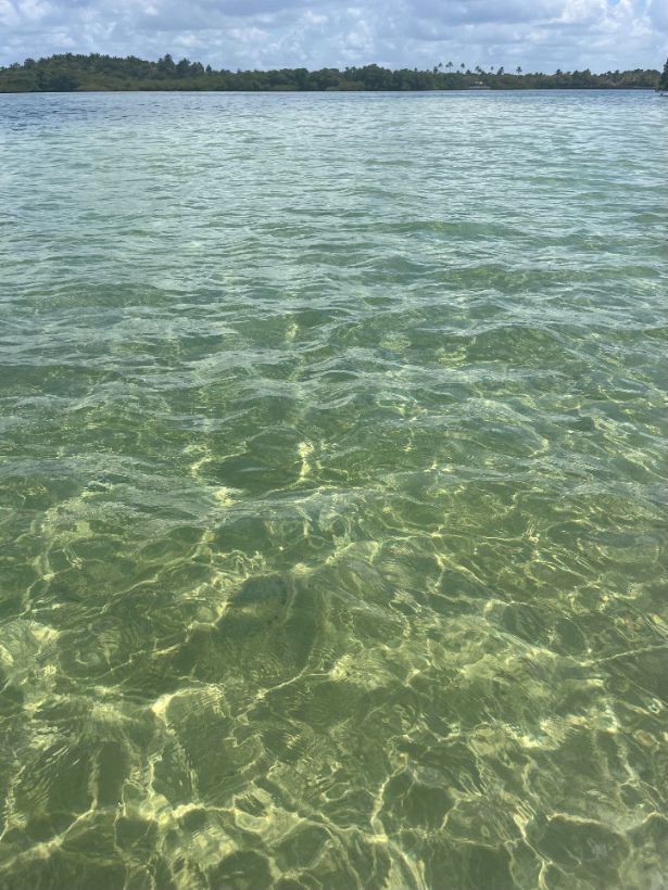 Mar raso e transparente na Baía de Todos os Santos
